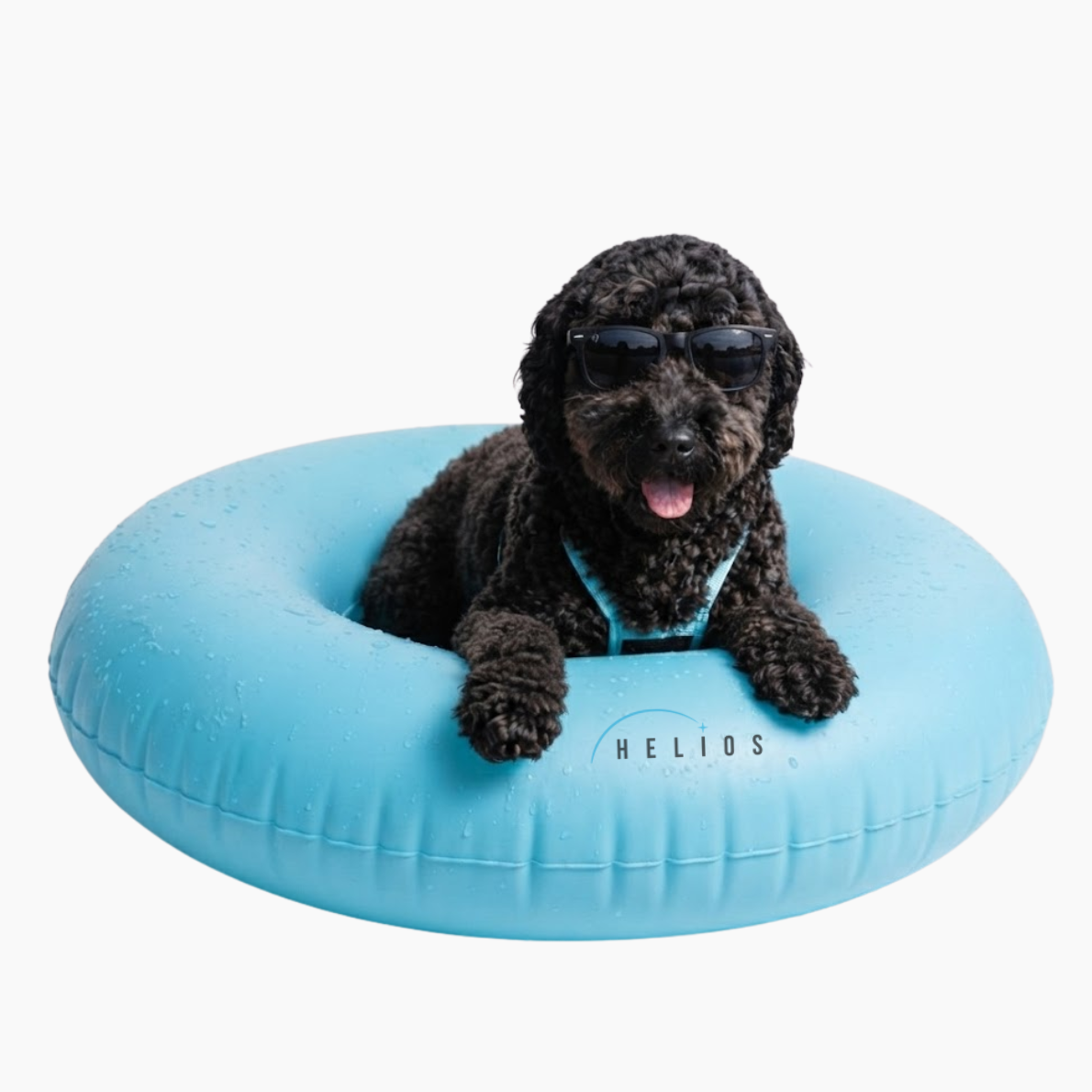 Helios team mascot, a black dog relaxing in a blue pool float