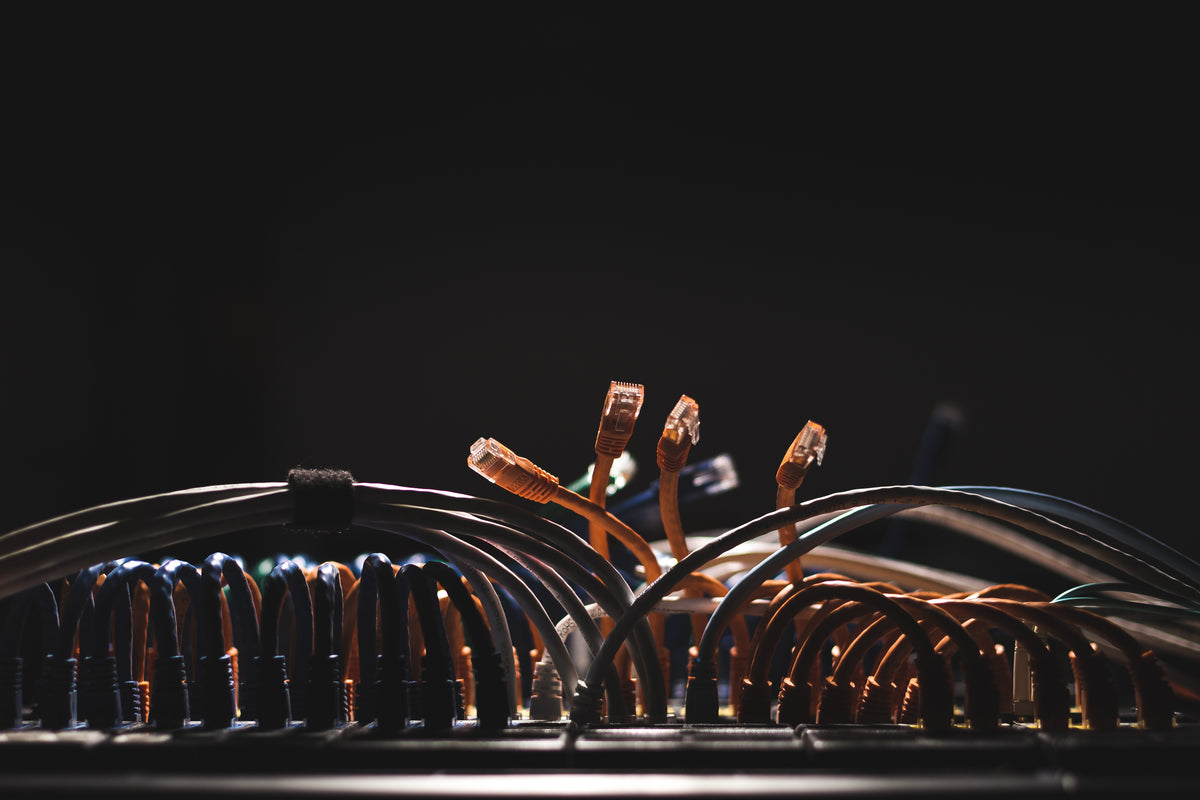 Ethernet patch cables plugged into a network switch, close-up view