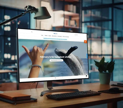 E-commerce platforms on a laptop screen