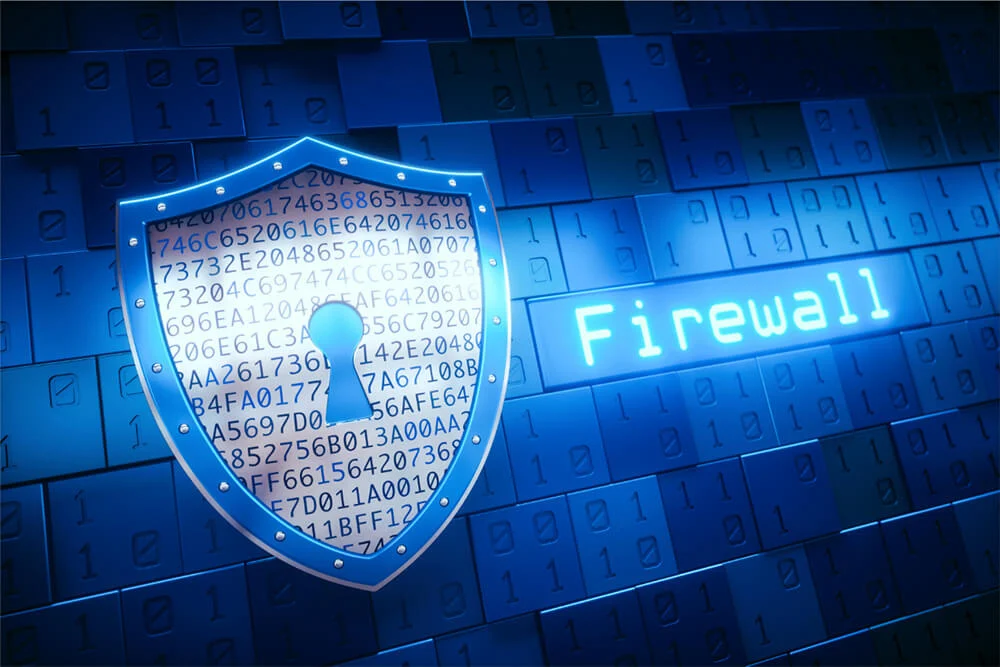 Firewall &amp; Network Protection