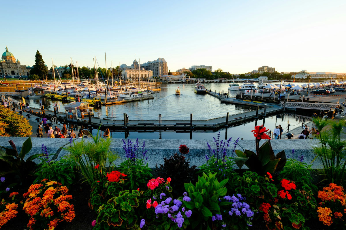 Victoria, British Columbia harbour