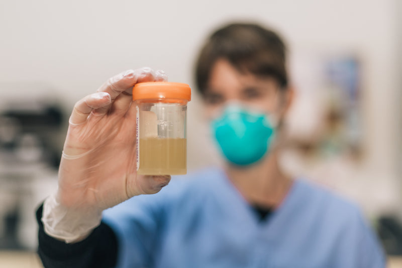 Hand holding a product sample jar